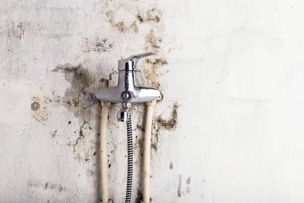 Best Water Damage Restoration  in Moorestown Lenola, NJ