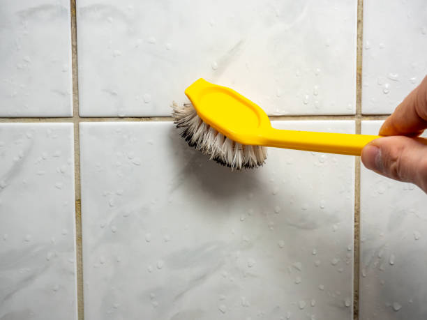Best Mold Remediation  in Moorestown Lenola, NJ
