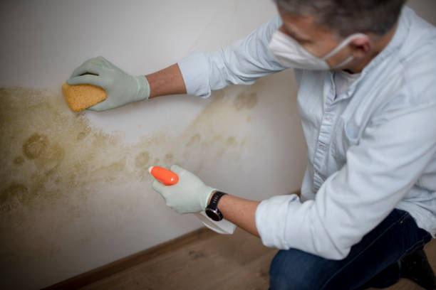 Best Crawl Space Mold Removal  in Moorestown Lenola, NJ