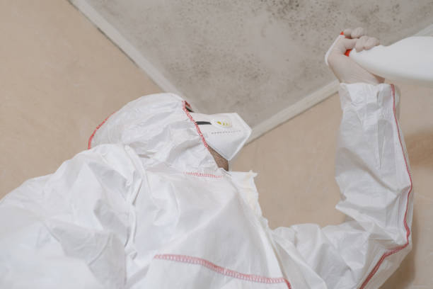 Best Mold Removal Company Near Me  in Moorestown Lenola, NJ