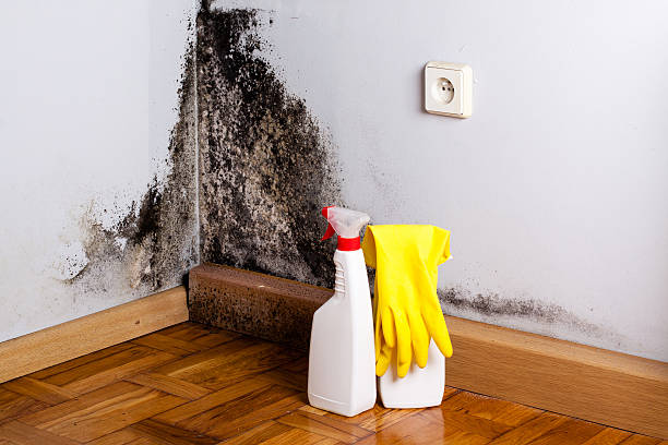 Best Attic Mold Removal  in Moorestown Lenola, NJ