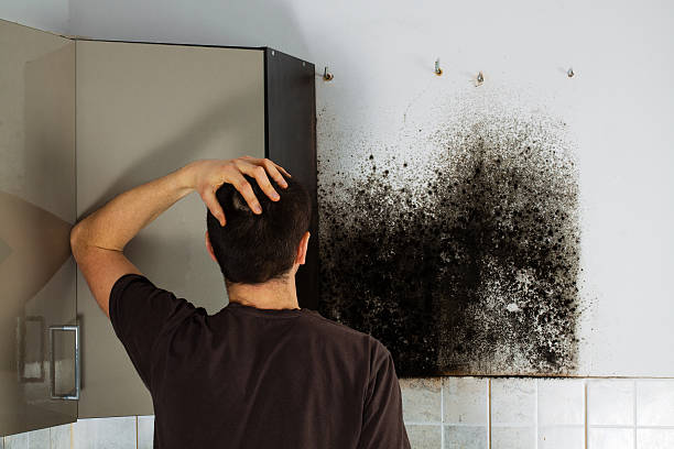 Best Mold Cleaning Services  in Moorestown Lenola, NJ