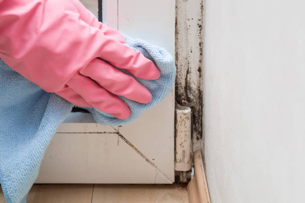 Certified Mold Removal in Moorestown Lenola, NJ