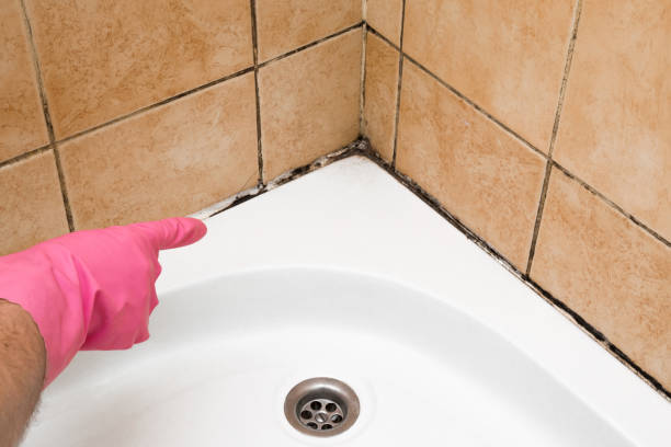 Best Residential Mold Removal  in Moorestown Lenola, NJ